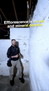 Efflorescence